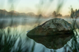 Image gallery image